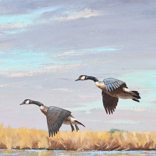 The Great Outdoors: From Audubon to Zuni | February 21, 2024 by Brunk Auctions