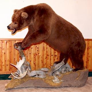 Special Taxidermy and Firearms Sale by DuMouchelles