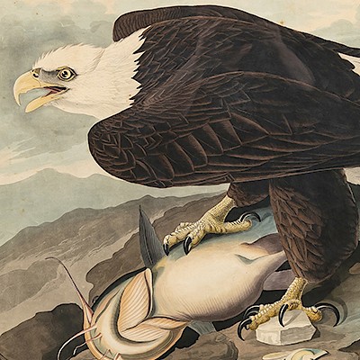 Gifting 101: Audubon to Vuitton by Ahlers & Ogletree