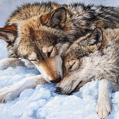 35th Annual Western Visions Art Show + Sale by National Museum of Wildlife Art