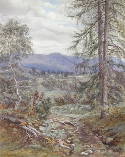 Edith Martineau, ARWS (British, 1842-1909) The Edge of the Woods near Aviemore signed lower left "Ed