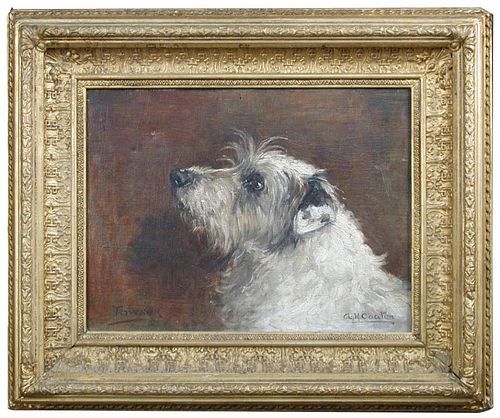 § Agnes Hilda Coates (British, 1877 - 1957) Study of "Towser", a terrier signed lower right "A H Coa