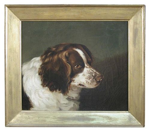 G W Miller of Bath (British, 19th Century) Study of a liver and white spaniel signed and dated lower