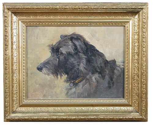 § Agnes Hilda Coates (British, 1877 - 1957) Study of a grey terrier oil on artist's board 21 x 28cm