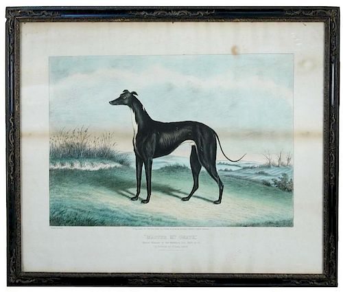 Edwin Henry Hunt (British, 19th Century) "Master Mc Grath" - a black greyhound, thrice winner of the