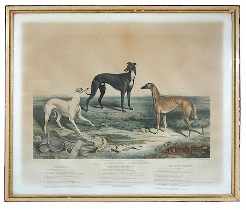 John McGahey, after James Armstrong (British, 19th Century) The Celebrated greyhounds - "Lobelia", M