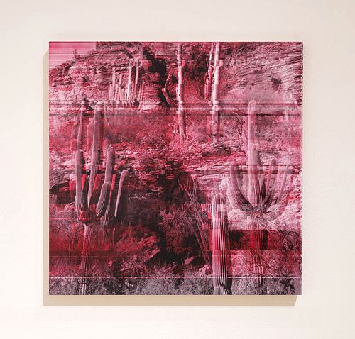 William Betts, Untitled Sonoran Desert, Arizona 1985,  2021, acrylic on wood panel, 24 x 24 inches