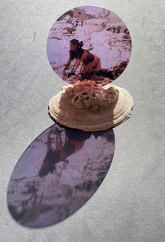 Susanna Carlisle + Bruce Hamilton, Untitled, 2021, scallop shell, duratran of video still, 7 x 6 x 6 inches