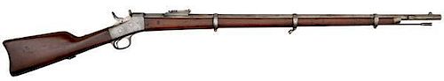 Remington Argentino Model 1879 Rifle 
