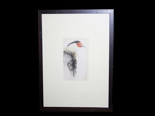WATERCOLOUR EXOTIC BIRD PAINTING FOR ISLAMIC MARKET