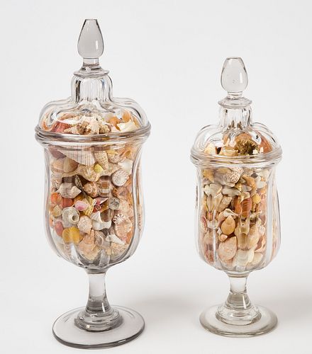 Two Glass Apothecary Jars with Shell Collection
