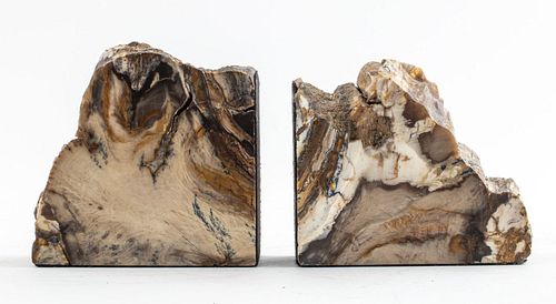 Specimen Bookends in Petrified Wood