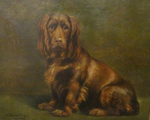 Brown Cocker Spaniel Dog Portrait Oil Painting