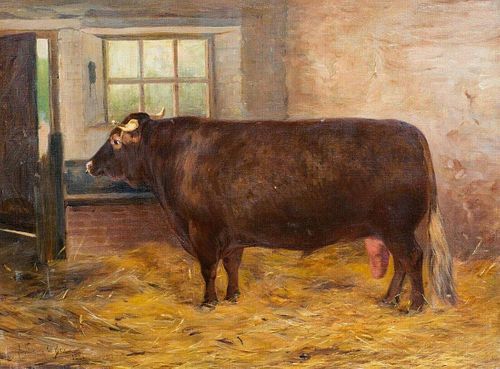 Shorthorn Prize Bull Portrait Oil Painting