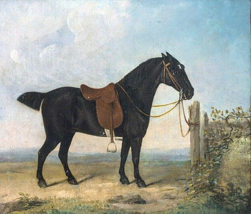 Portrait Saddled Dark Bay Horse Oil Painting