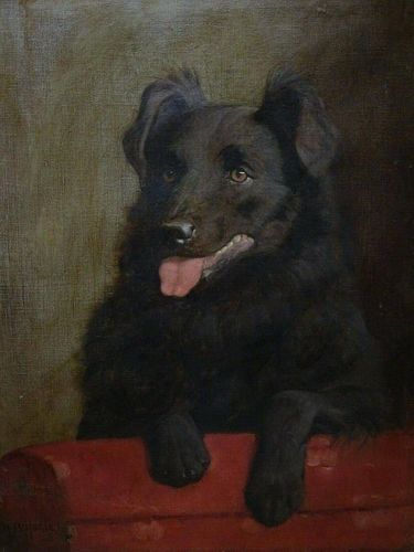 Portrait Of A Black Border Collie Dog Oil Painting