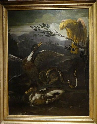 Parrot, Snake, Lizard & Ducks Oil Painting