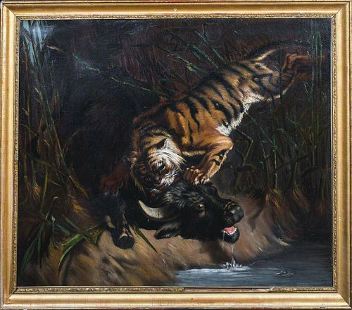 Tiger Attacking A Buffalo Oil Painting