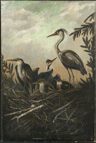 Study Of A Great Blue Heron Nest Birds Oil Painting