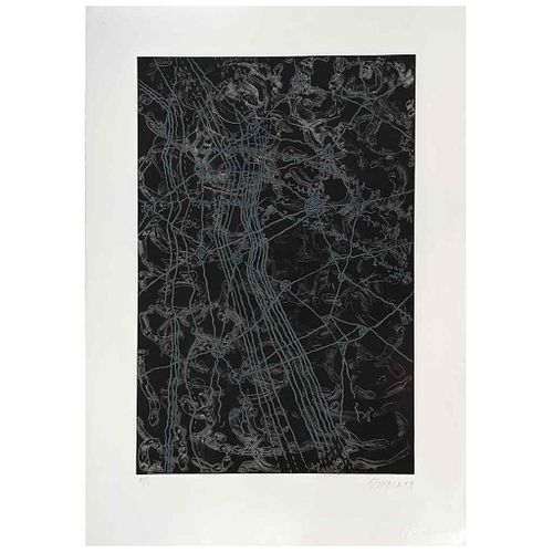 SUSANA SIERRA, Untitled, 2009, Signed, Engraving P / I, 23.4 x 15.7" (59.5 x 39.9 cm) image / 30.5 x 21.4" (77.5 x 54.5 cm) paper, Stamp | SUSANA SIER