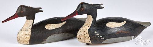 Pair of carved and painted merganser duck decoys