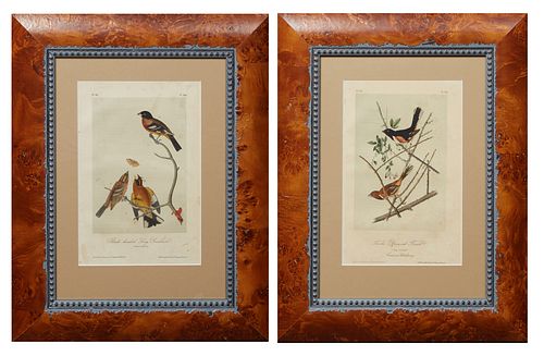 John James Audubon (1785-1851, Haitian/American), Two Octavo Prints Consisting of, "Black Headed Long Grosbeak," No. 42, Plate 206, and "Towhe Ground 