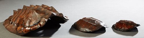 Three Louisiana Turtle Shells, 20th c. consists of a large snapping turtle example, a small snapping turtle shell, and a box turtle example. (3 Pcs) L