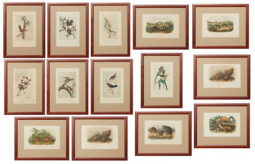 John James Audubon (1785-1851, Haitian/American), Thirteen Octavo Prints, 19th c. consisting of "Small-headed Flycatcher," No. 14, Plate 67; "Blackcap