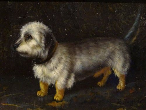 Dandie Dinmont Terrier Dog Oil Painting