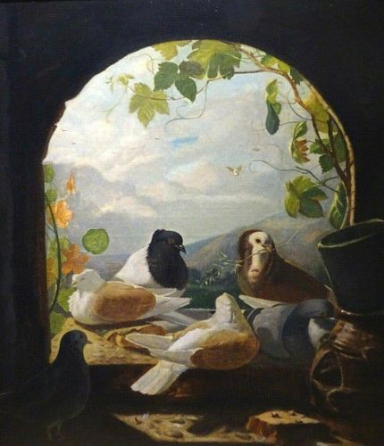 Pigeons & Doves Birds Scene Oil Painting