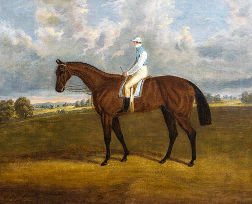 Race Horse & Jockey Oil Painting