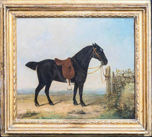 Portrait Saddled Dark Bay Horse Oil Painting
