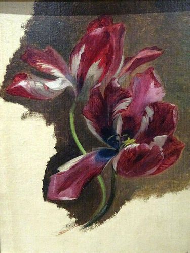 Still Life Study Of A Tulip Oil Painting