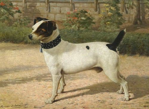 Jack Russell Terrier Dog Portrait Oil Painting