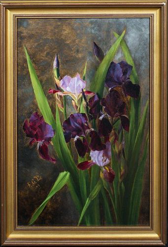 Still Life Of Bearded Irises In The Wild Oil Painting