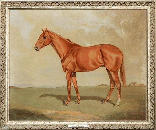 Horse Portrait "Mackesons" Oil Painting