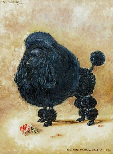 Poodle Dog Portrait "Braeval Bolero" Oil Painting