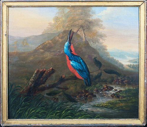 Kingfisher Bird Study Oil Painting