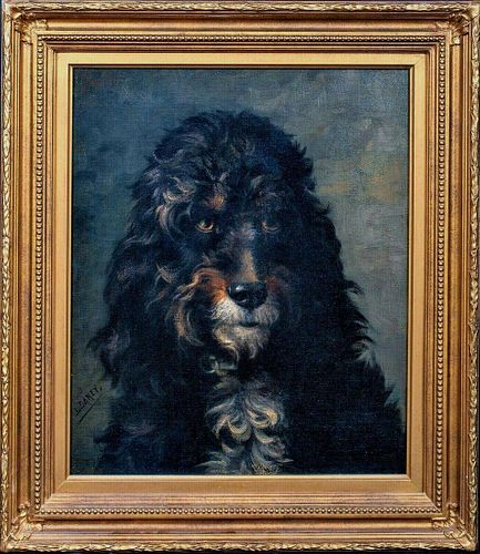 Portrait of A Dog Poodle Oil Painting