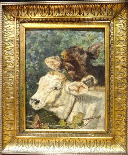 Portrait of A Brown & White Cow Oil Painting