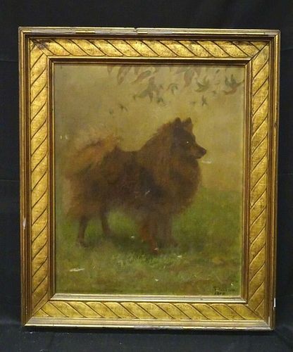 Fine Large 1910 English School Brown Spitz Dog Portrait