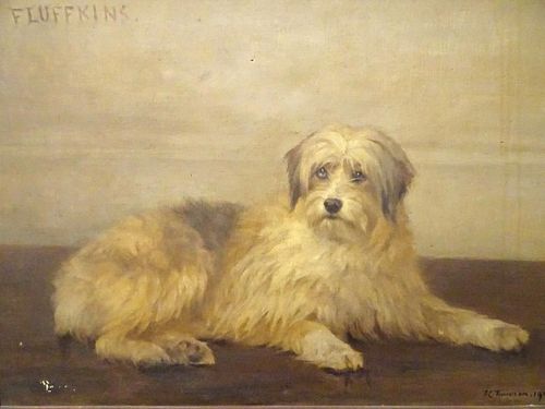 Huge 1905 Century English Terrier Dog Portrait