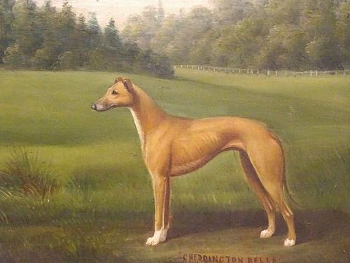 19th Century English Greyhound Dog Portrait Antique Oil
