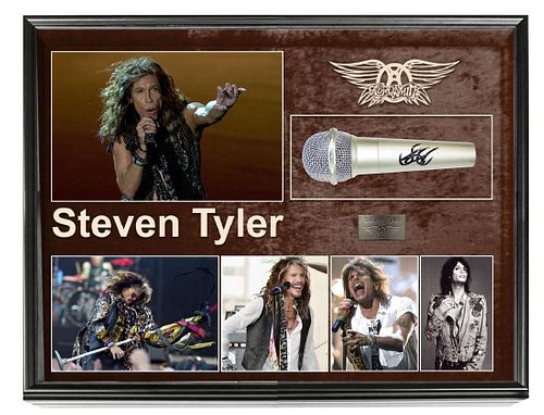 Aerosmith Steven Tyler Autographed Microphone + Display