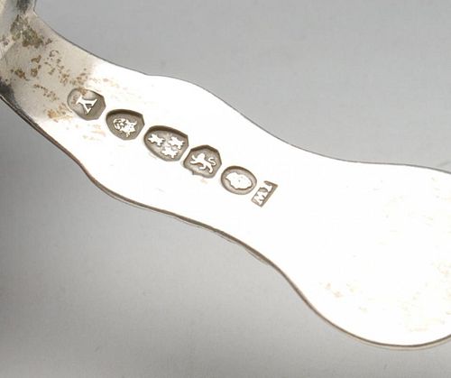 A William IV silver caddy spoon, in King's pattern with shell bowl, hallmarked Newcastle 1837 with m