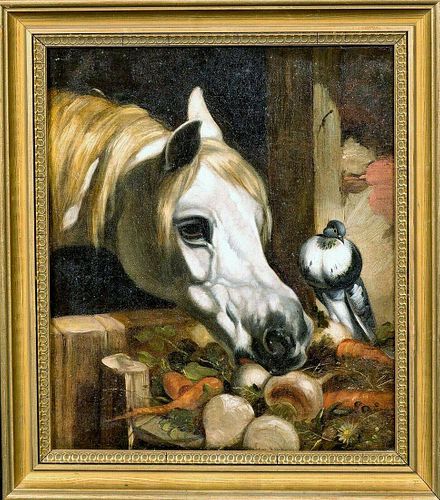 Portrait White Horse Head & Bird