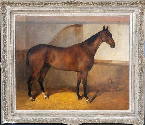 Horse Stable Portrait