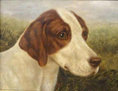 Hound Dog Head Portrait Antique Oil Painting