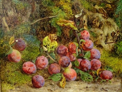 Plums On A Mossy Bank