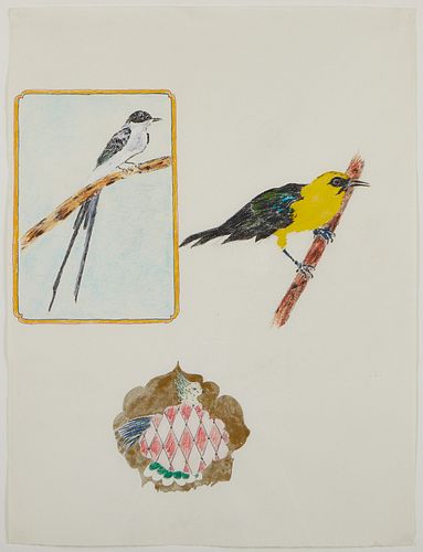 Gary Bower Birds - Directly from Artist